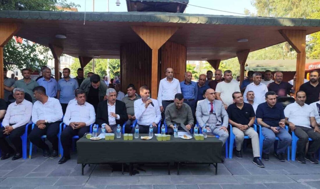 AK Parti Adıyaman Milletvekili ve TBMM Divan Katip Üyesi Doç.