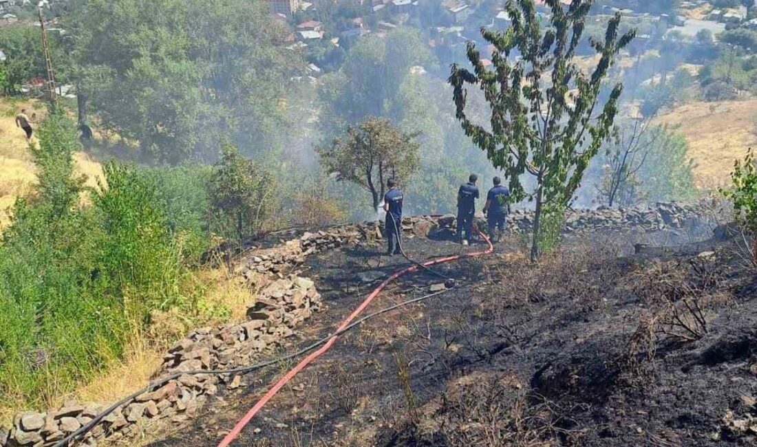 MUŞ (İHA) – Muş’un Kale Mahallesi’ndeki bağlarda çıkan anız yangını,