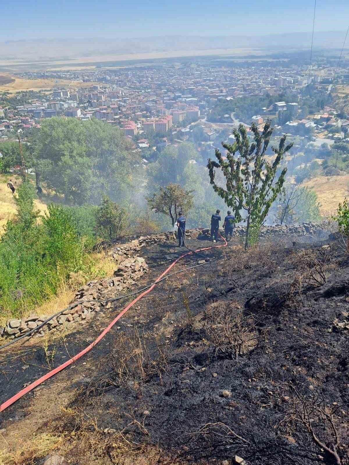MUŞ (İHA) – Muş’un Kale Mahallesi’ndeki bağlarda çıkan anız yangını,