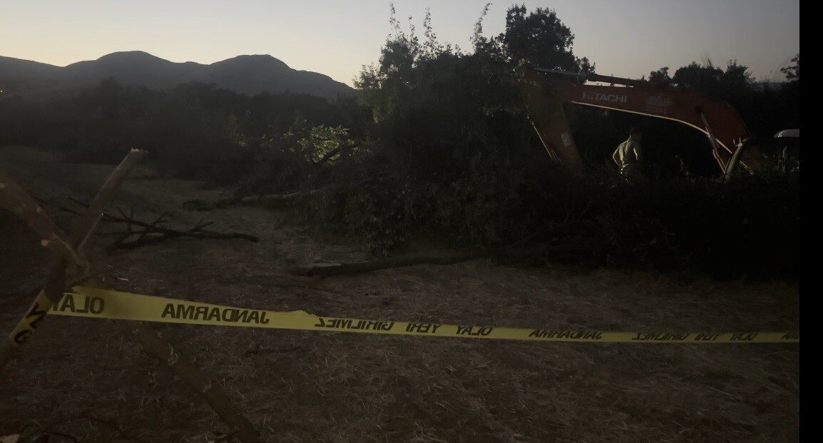 Erzincan’ın Ekmekli köyünde kanal çalışması sırasında devrilen ağacın altında kalan