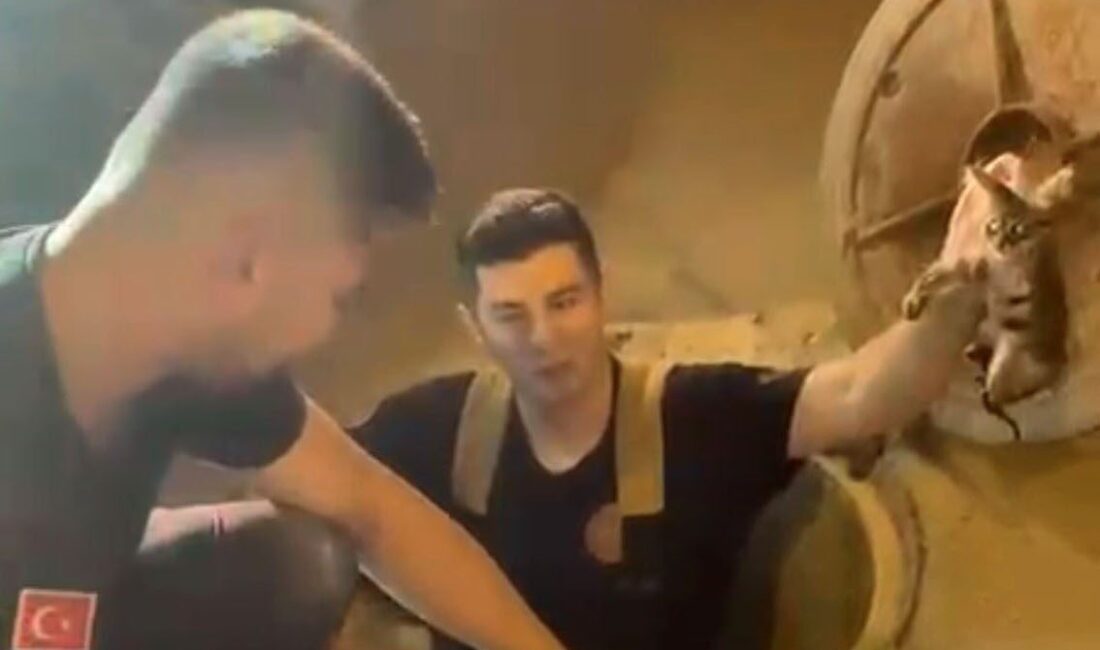 Bursa’da kanalizasyon borusunda mahsur kalan kedi, itfaiye ekiplerinin titiz çalışmasıyla