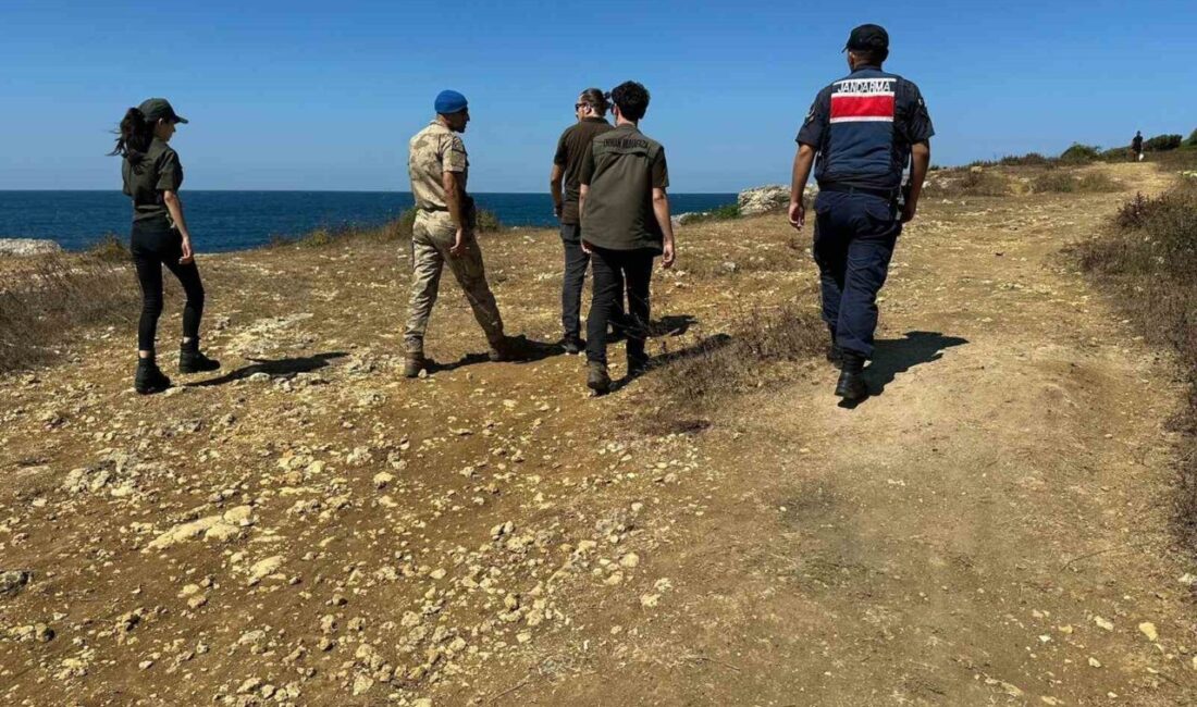 Kocaeli’nin Kandıra ilçesinde sahiller ve ormanlık bölgelerde izinsiz çadır kuran