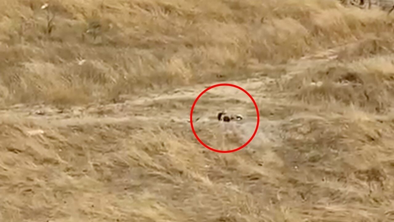 Tekirdağ Kapaklı ilçesi İnönü Mahallesi’nde, çocuk parkı yanındaki boş arazide