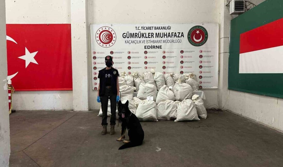 Edirne Kapıkule Gümrük Sahası’nda düzenlenen iki ayrı operasyonda toplam 245