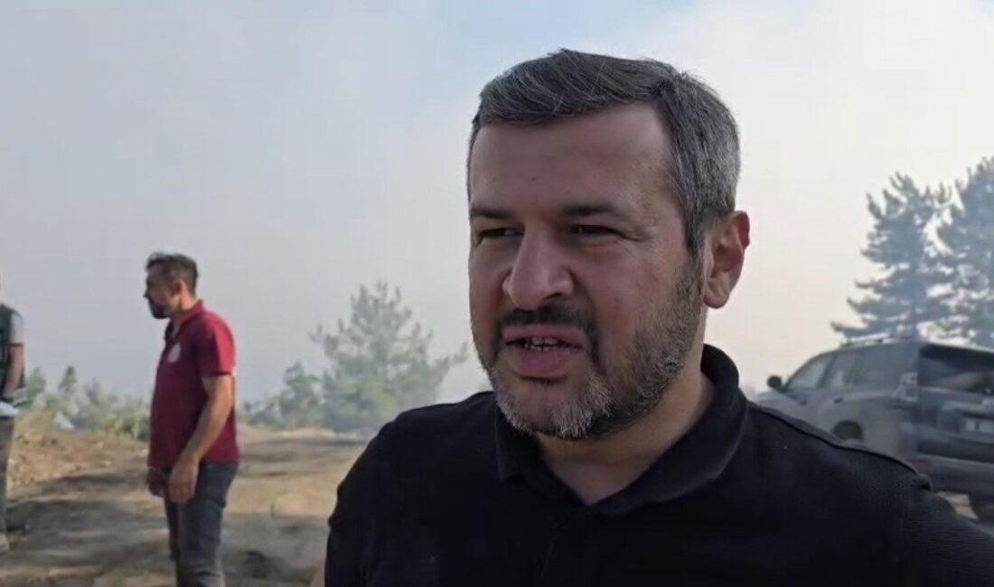 Karabük Belediye Başkanı Özkan Çetinkaya, yangın bölgesinde incelemelerde bulunarak, “Yerleşim
