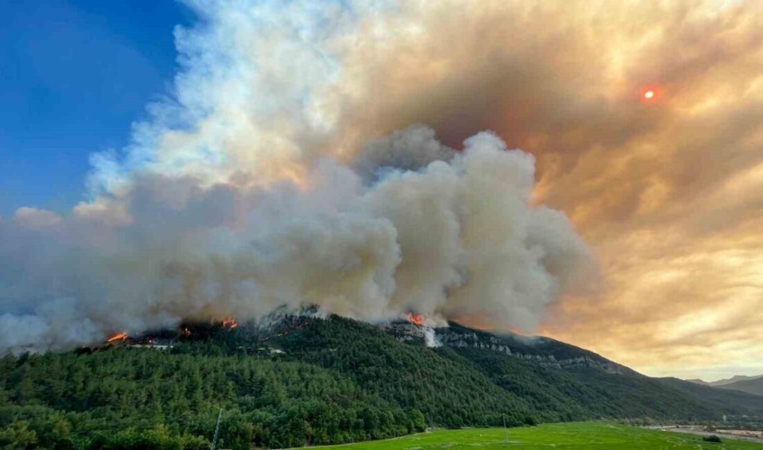 Merkez, Ovacık ve Safranbolu ilçelerinde yaşanan orman yangını nedeniyle, Afet