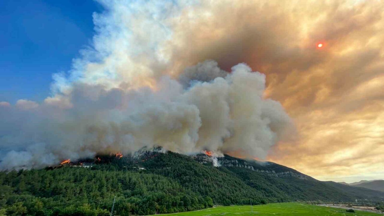 Merkez, Ovacık ve Safranbolu ilçelerinde yaşanan orman yangını nedeniyle, Afet