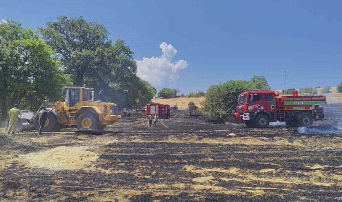 Karabük’ün Eflani ilçesinde boş arazide çıkan anız yangını, yerleşim yerine