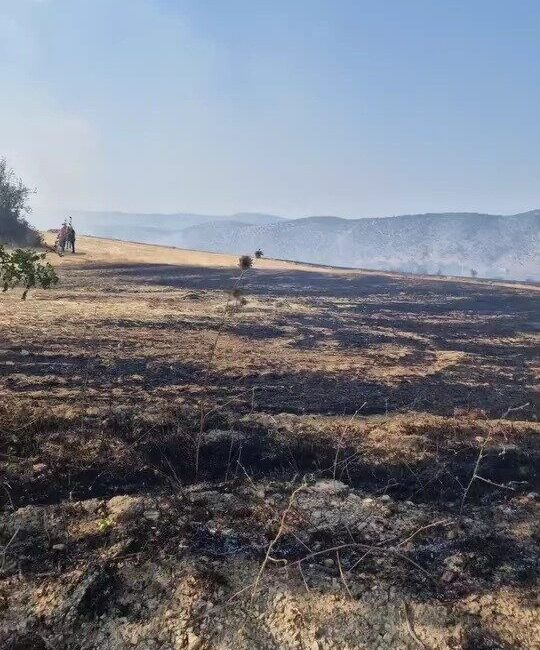 Karabük’ün Eskipazar ilçesinde çıkan anız yangını itfaiye ekiplerinin müdahalesiyle kontrol