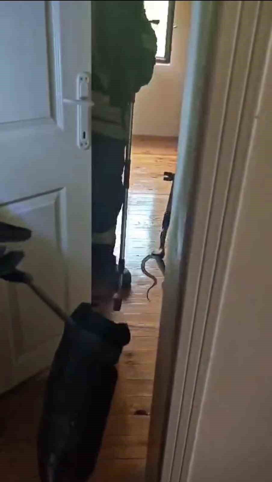 Karabük’ün Safranbolu ilçesinde bir eve giren yılan, itfaiye ekipleri tarafından