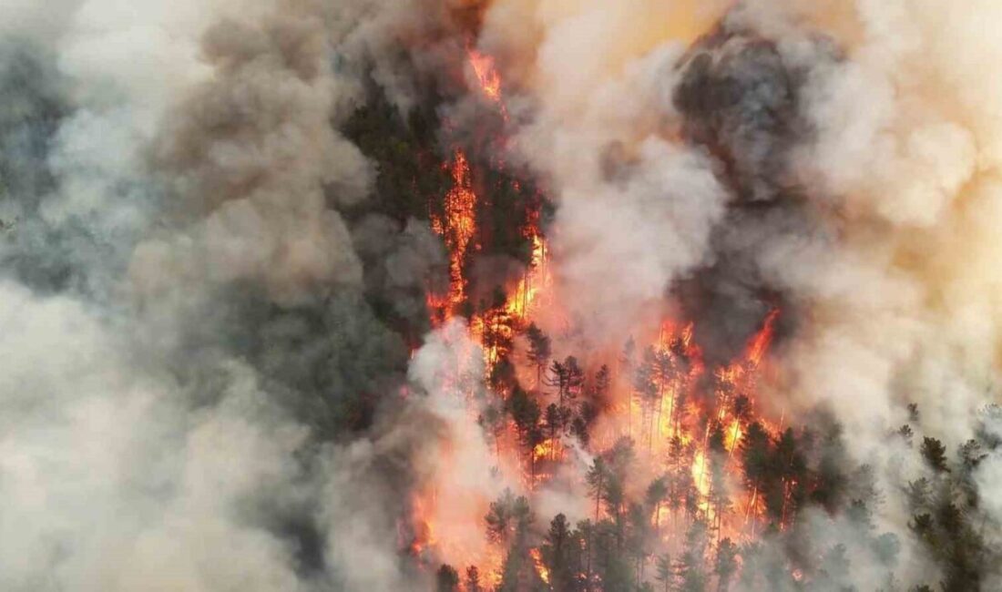 Karabük’te yaklaşık 5 saattir kontrol altına alınmaya çalışılan yangın dron