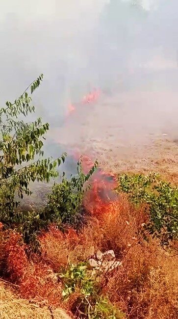 Karabük’ün Safranbolu ilçesinde çıkan ot yangını, itfaiye ekiplerince söndürüldü. Olay,