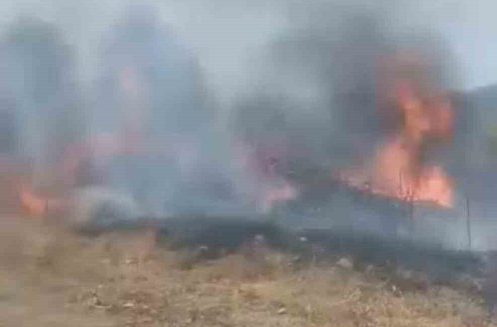 Karabük’ün Eskipazar ilçesinde otluk alanda çıkan yangın, büyümeden kontrol altına