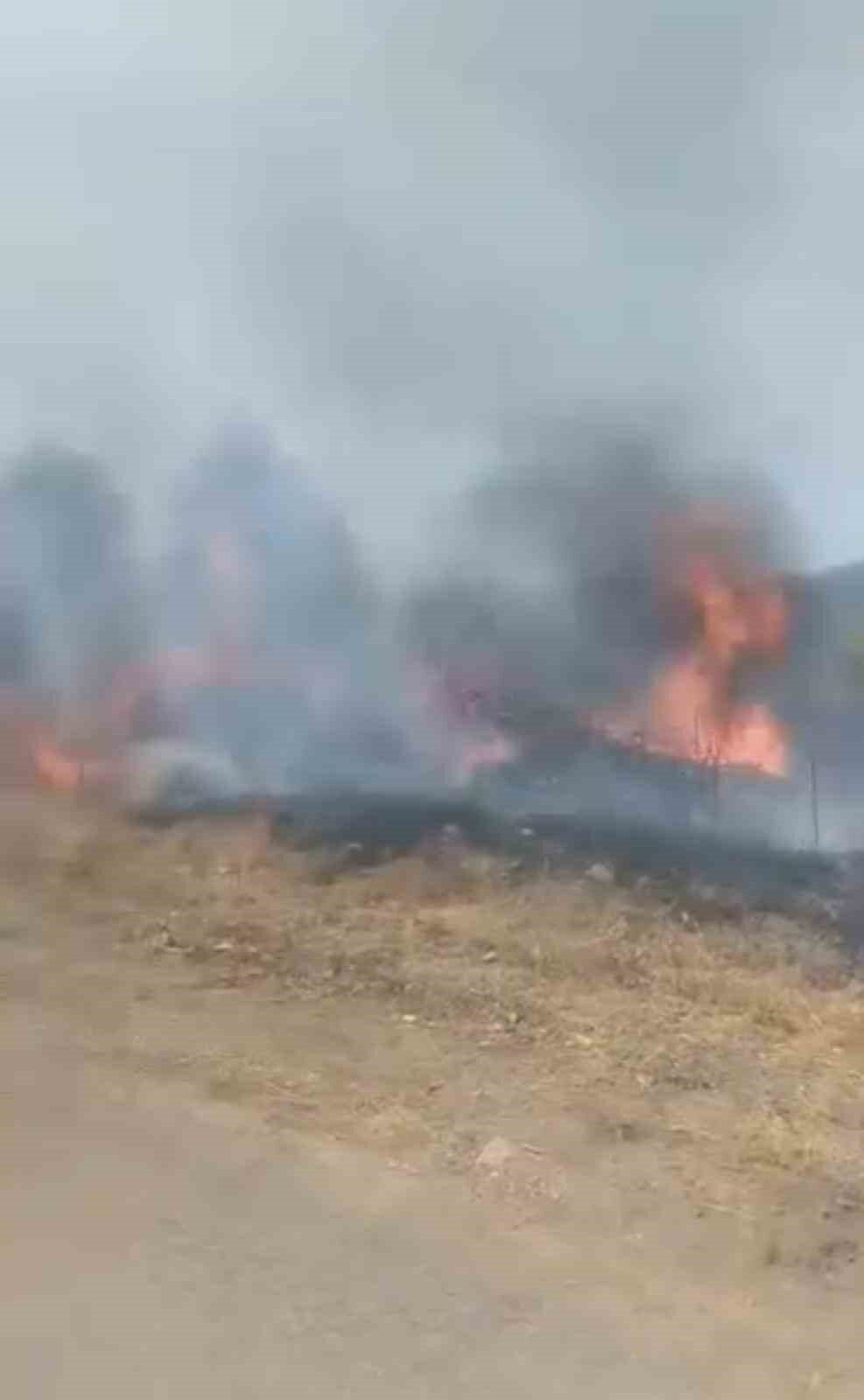 Karabük’ün Eskipazar ilçesinde otluk alanda çıkan yangın, büyümeden kontrol altına