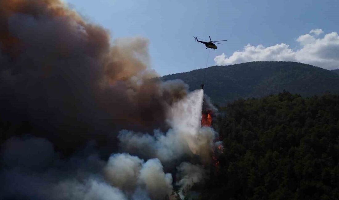 Karabük’te yaklaşık 4 saat önce çıkan orman yangınını kontrol altına