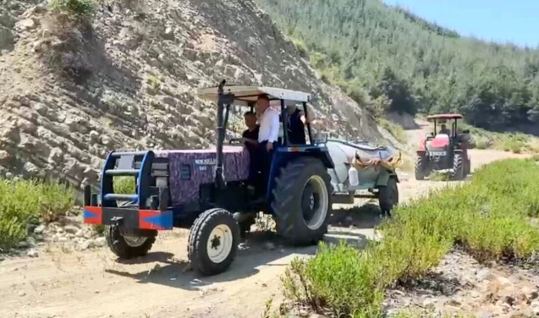 Osmaniye’de Karacaören Gölet’ine, köylüler ve belediye ekipleri gölette bulunan pullu