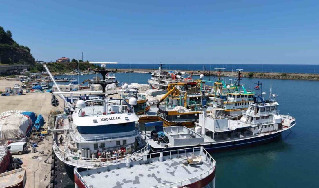 Karadeniz’de yeni av sezonuna sayılı günler kala denizlerde hareketlilik başladı.