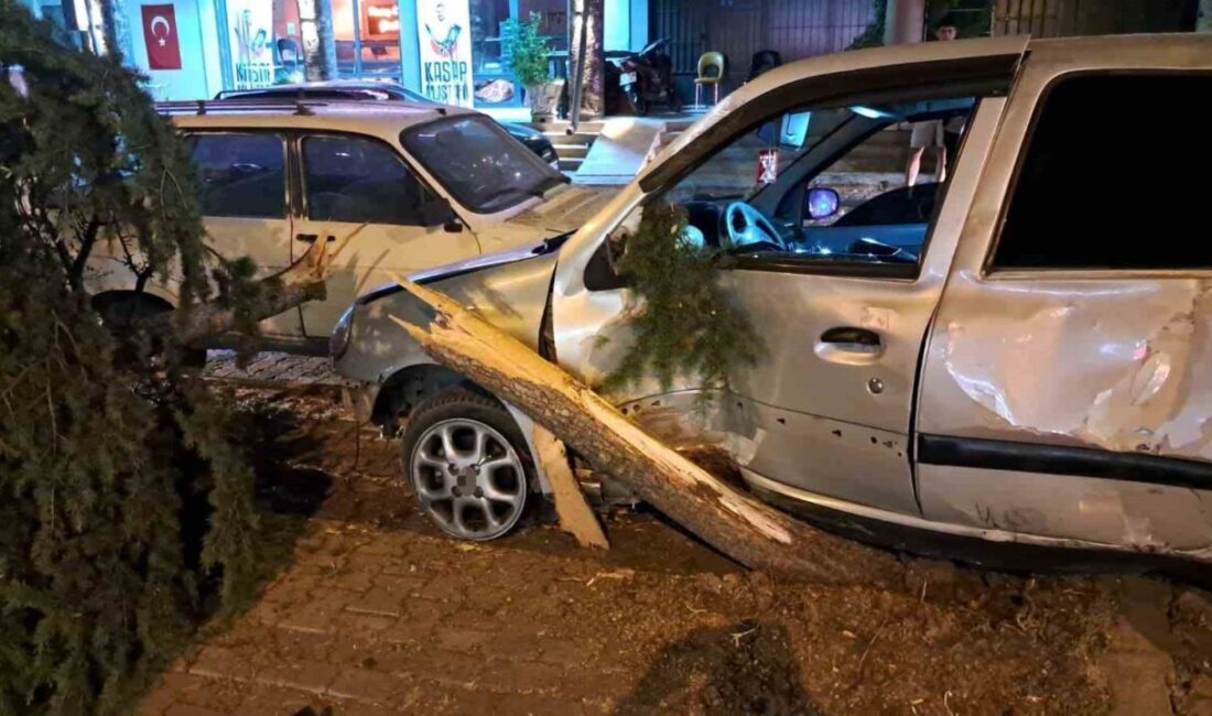 Karaman’da kontrolden çıkan otomobil, park halindeki üç tekerlekli bisiklet ile