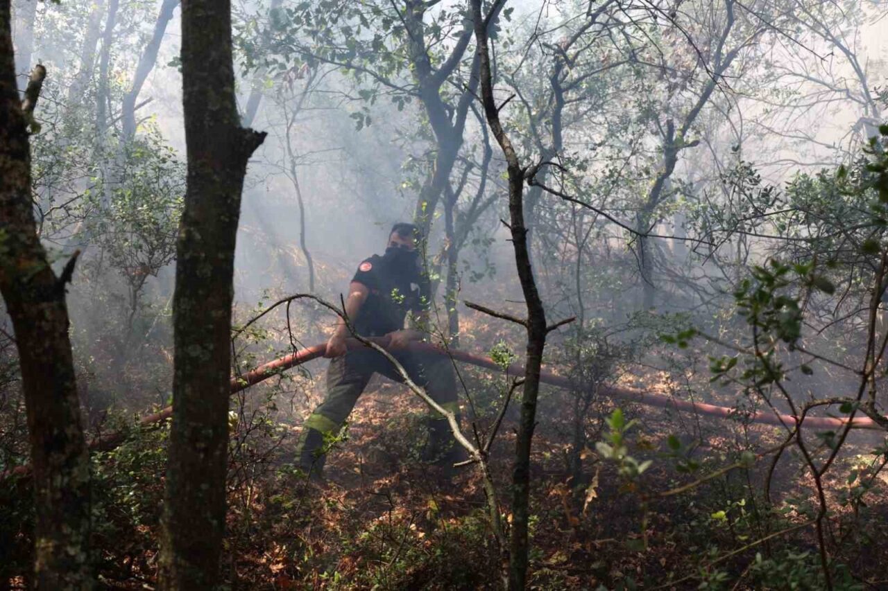 Kocaeli İtfaiyesi, Karamürsel’deki yangına 3 uçak, 8 helikopter, 75 araç