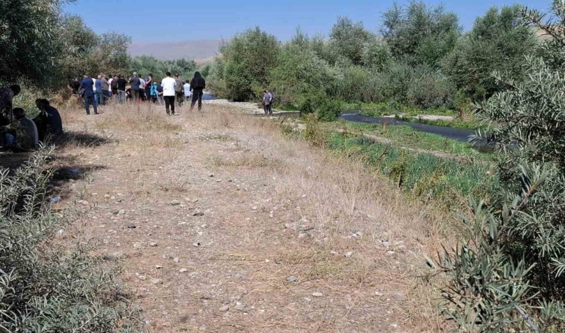 Erzurum’un Aşkale ilçesinde önceki gün meydana gelen trafik kazanda Karasu