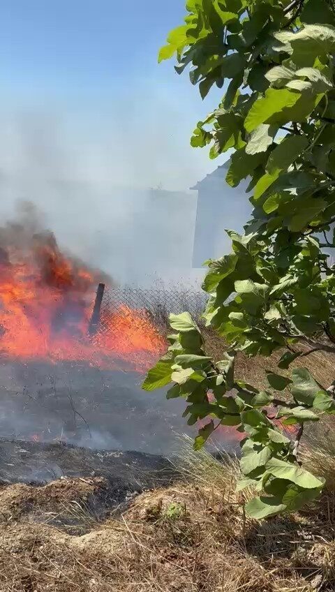 Kocaeli’nin Kandıra ilçesi Koruklar köyünde yangın başladı. Yangının yerleşim yerine