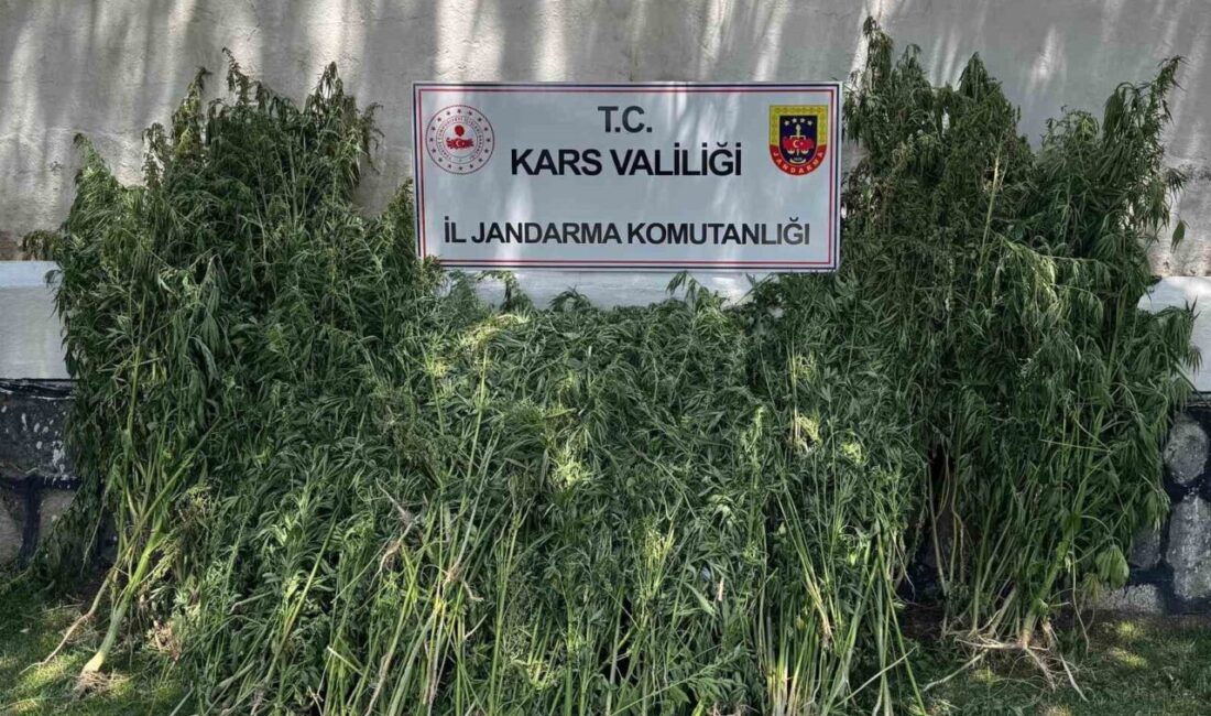 Kars’ta son 3 ayda jandarma ekiplerince uyuşturucu tacirlerine yönelik düzenlenen