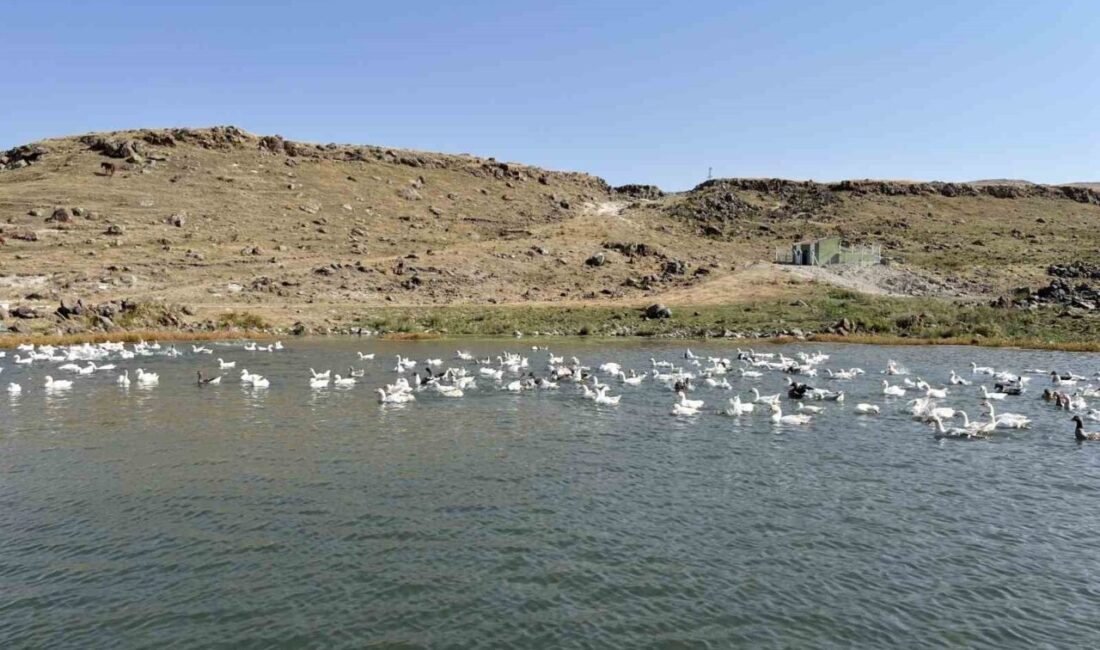 Kars’ın soğuk kış ayları ve karla kaplı coğrafyası, yöreye özgü