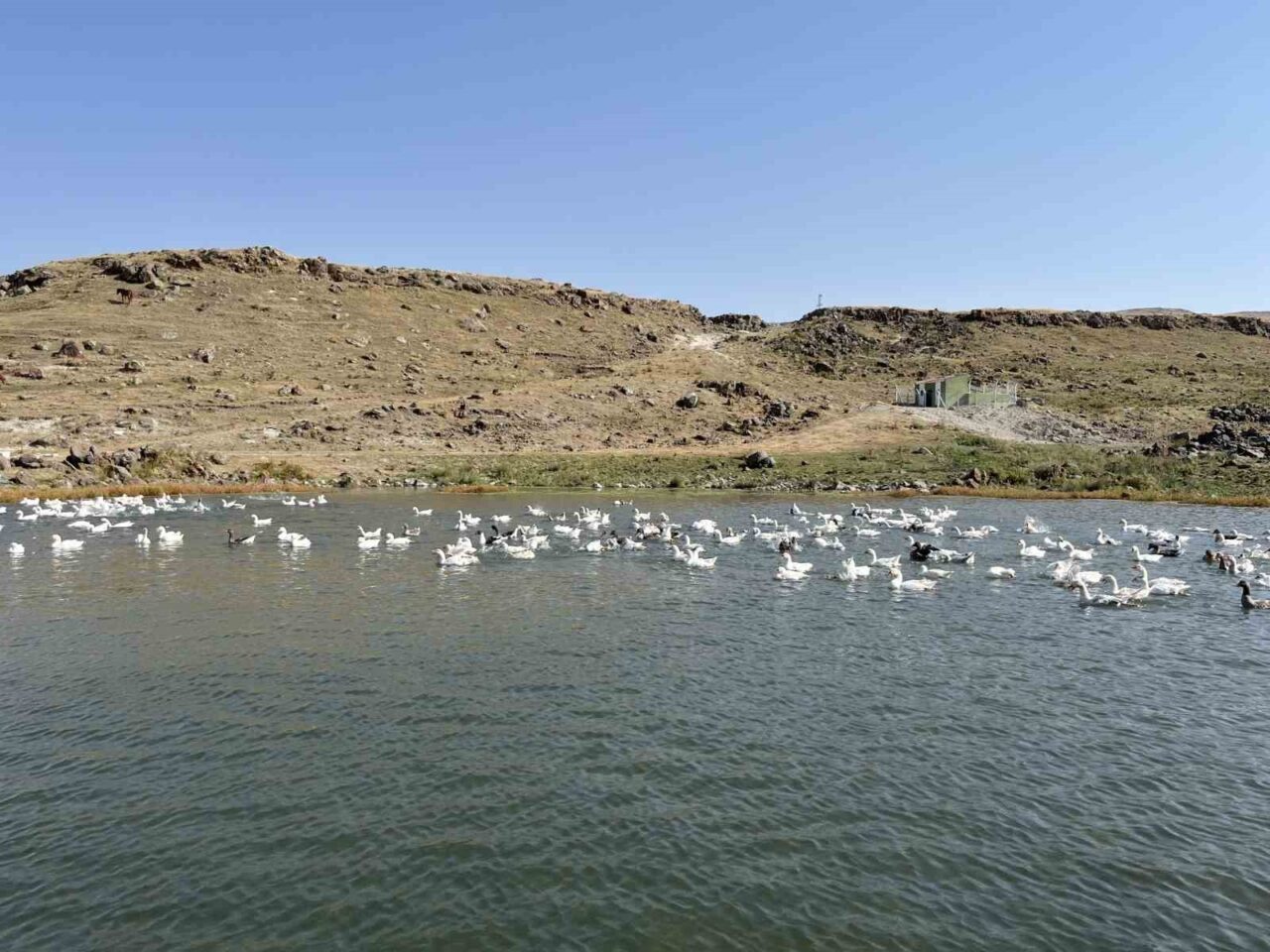 Kars’ın soğuk kış ayları ve karla kaplı coğrafyası, yöreye özgü