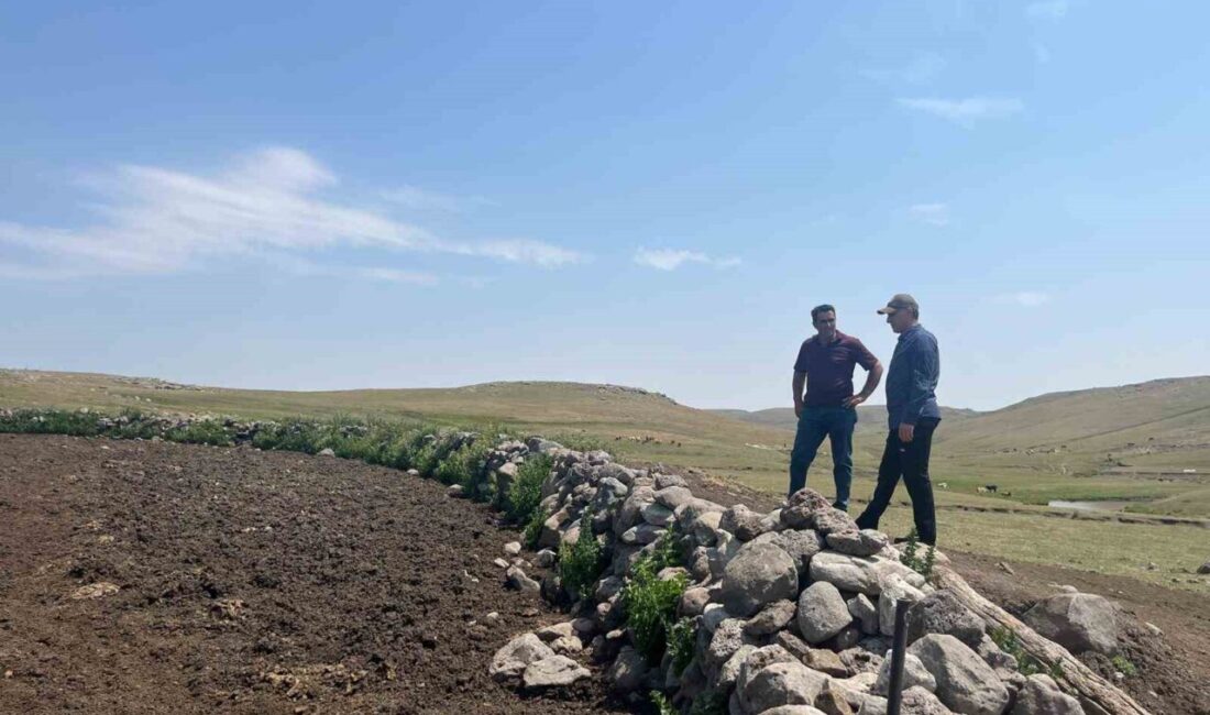 Kars’ta Şap hastalığıyla mücadele sürüyor, Tarım ve Orman Müdürü Enver