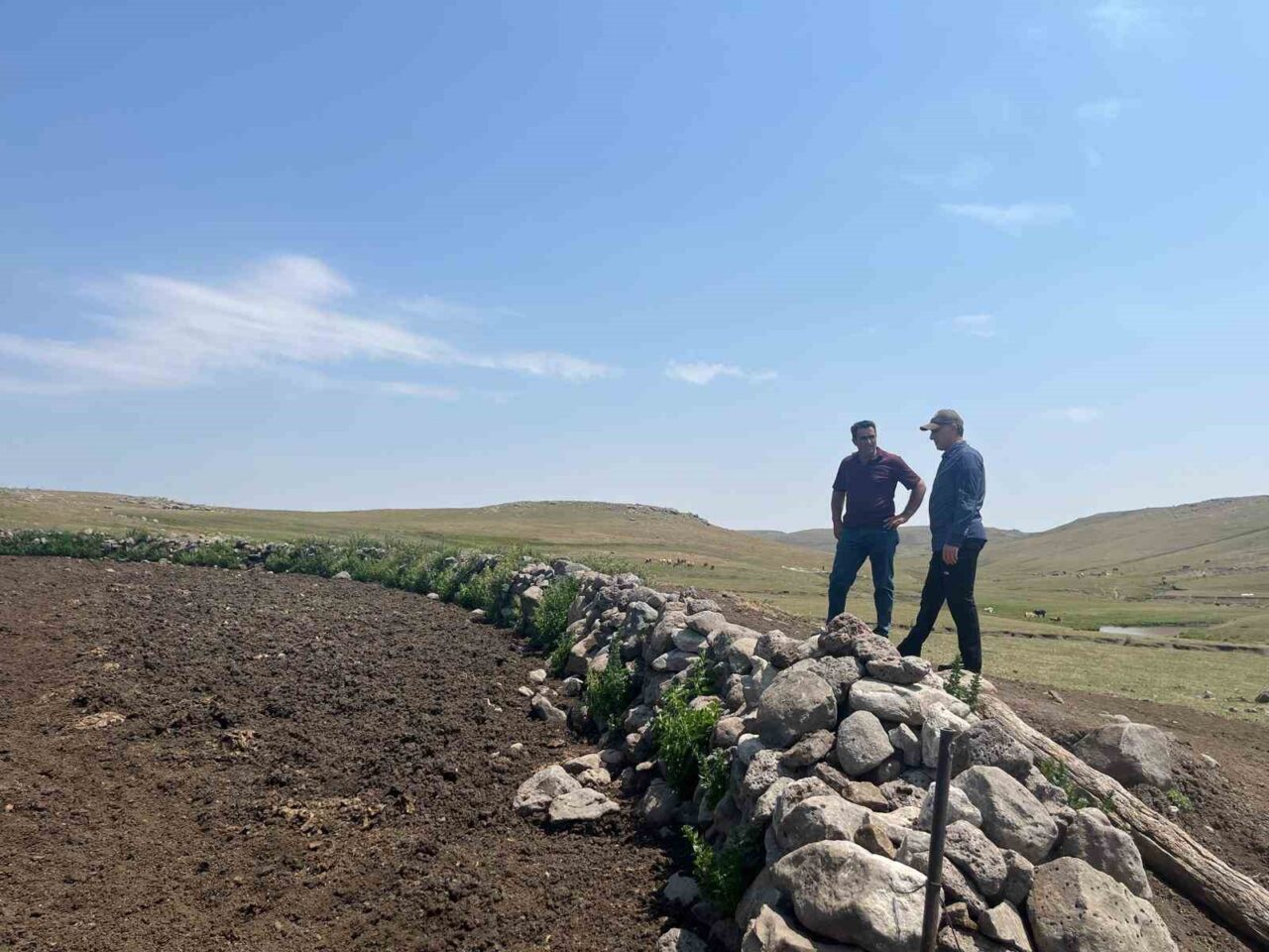 Kars’ta Şap hastalığıyla mücadele sürüyor, Tarım ve Orman Müdürü Enver