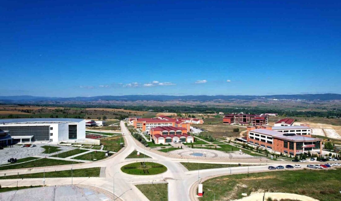 Kastamonu Üniversitesi, 2025 Yükseköğretim Kurumları Sınavı (YKS) sonuçlarına göre yüzde