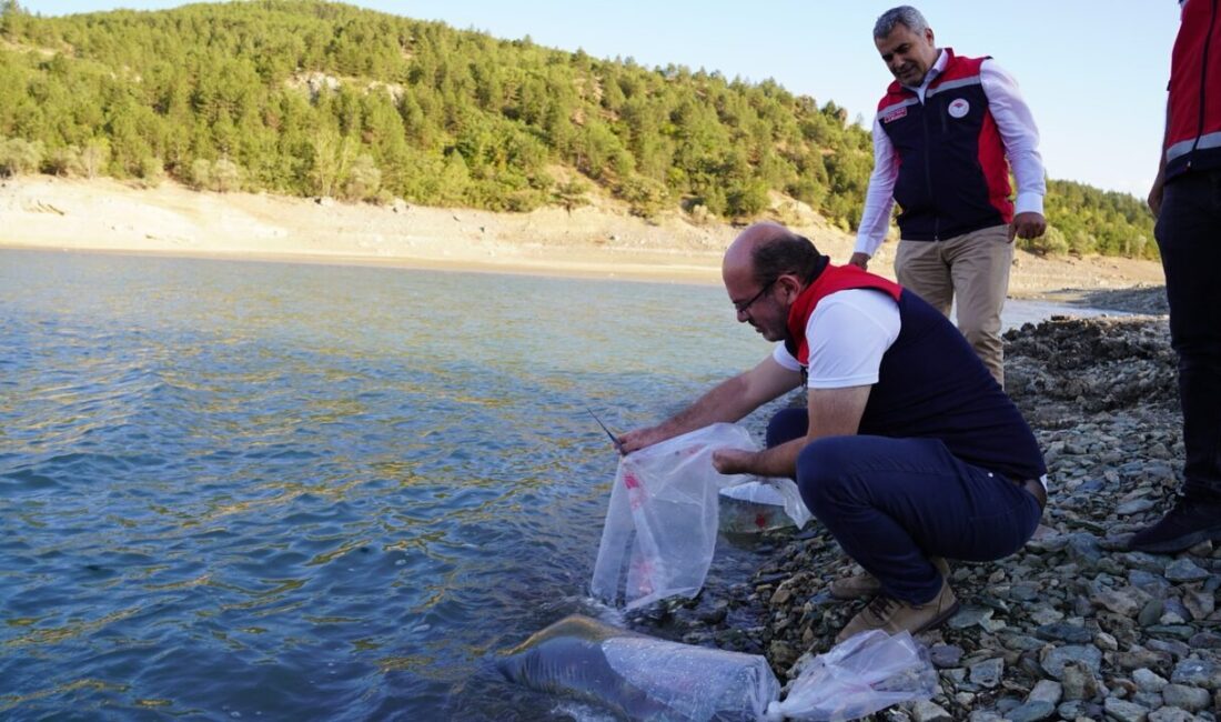 Kastamonu’da İl Tarım ve Orman Müdürlüğü ekiplerince baraj ve göletlere