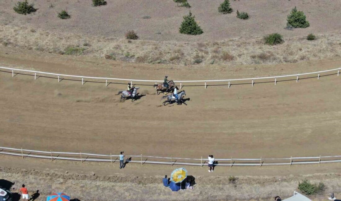 Kastamonu’nun Taşköprü ilçesinde düzenlenen 35. Uluslarası Kültür ve Sarımsak Festivali