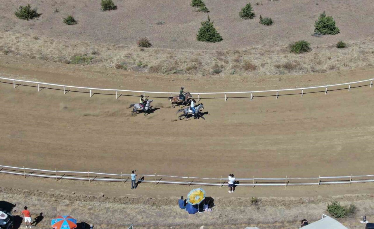 Kastamonu’nun Taşköprü ilçesinde düzenlenen 35. Uluslarası Kültür ve Sarımsak Festivali