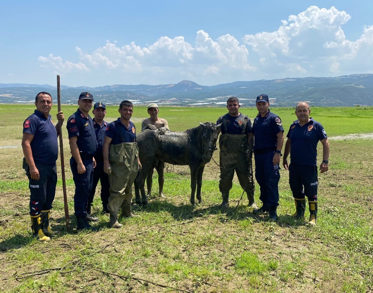 Manisa’nın Alaşehir ilçesinde su arayışına çıkan iki katır bataklığa saplandı.