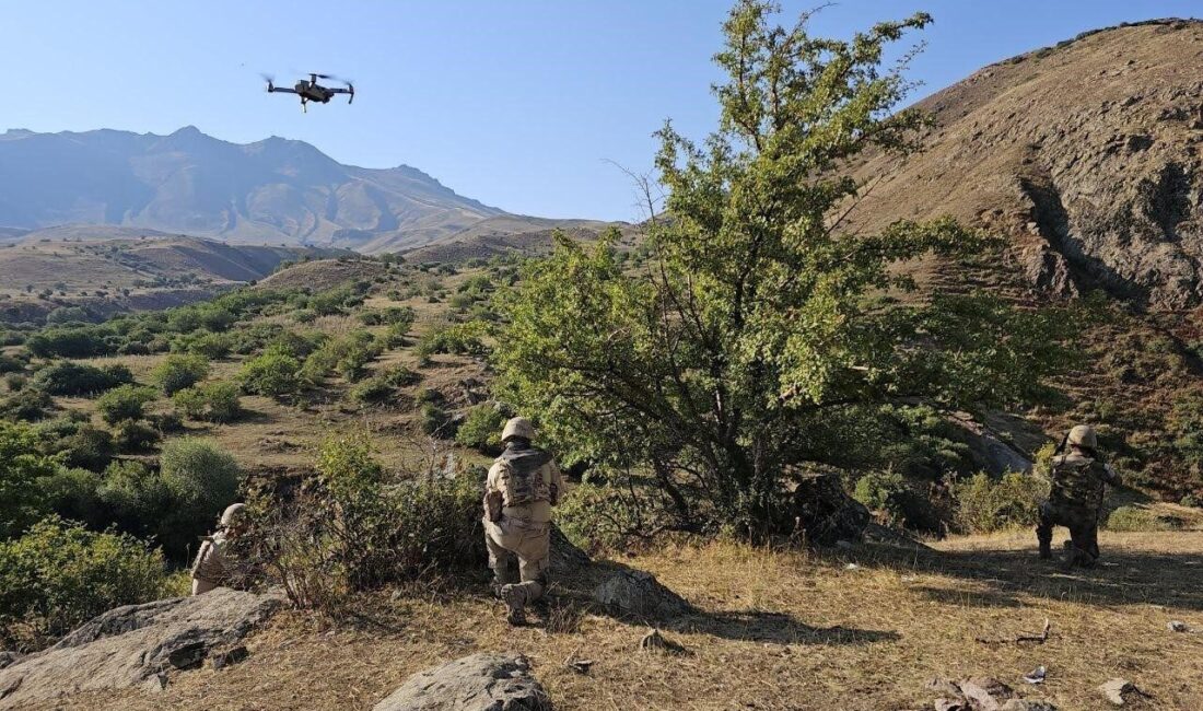 Van’ın Erciş ilçesinde arazide otladıkları sıra kaybolan koyunlar, jandarma ekiplerinin