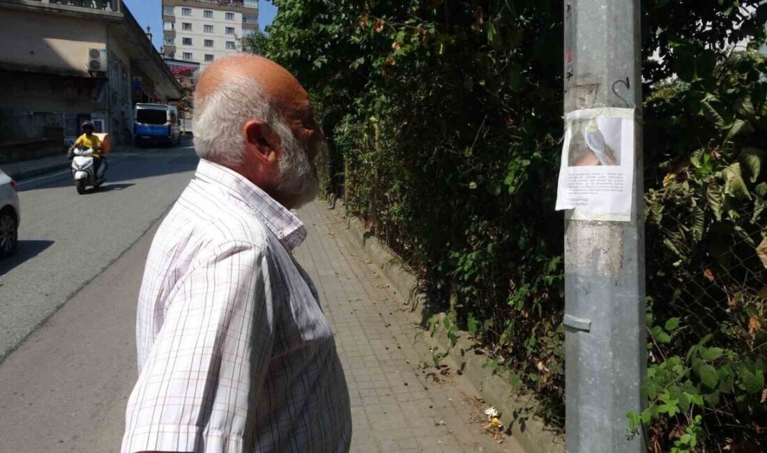 Trabzon’un Ortahisar ilçesine bağlı Çukurçayır Mısırlı Mahallesi’nde yaşayan Alan ailesi,