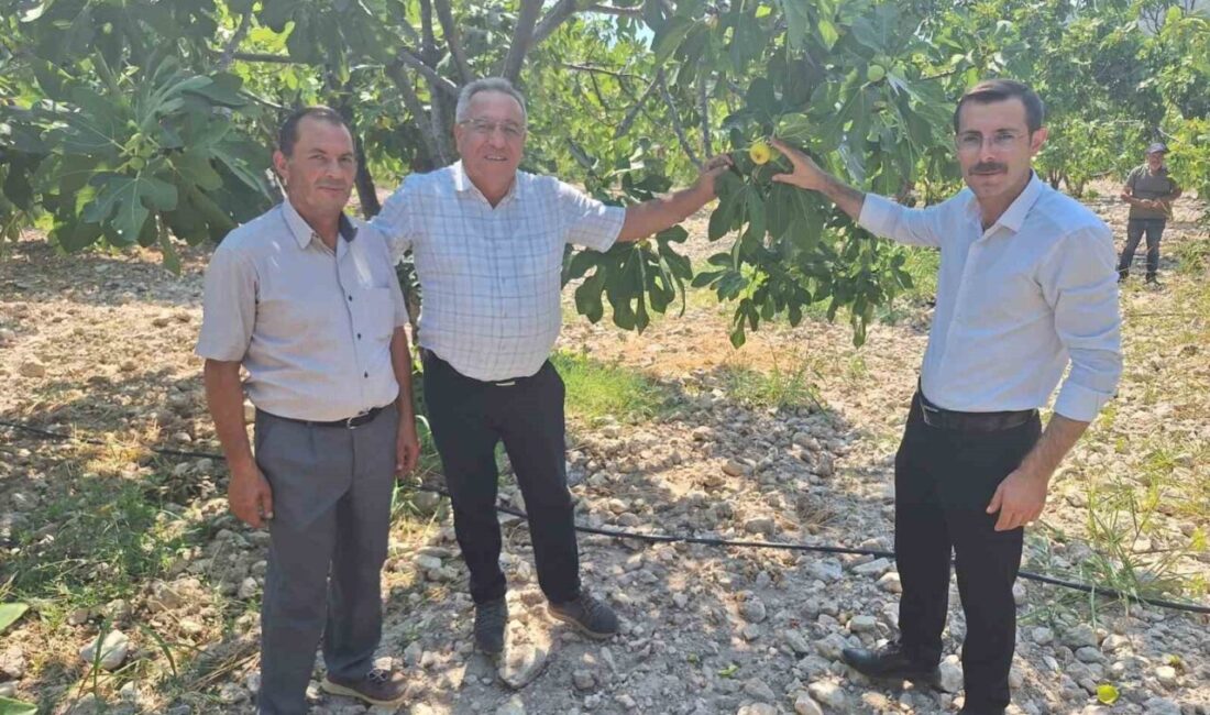 Bozdoğan Kaymakamı Yunus Emre Polat, incir üreticileri ile bir araya