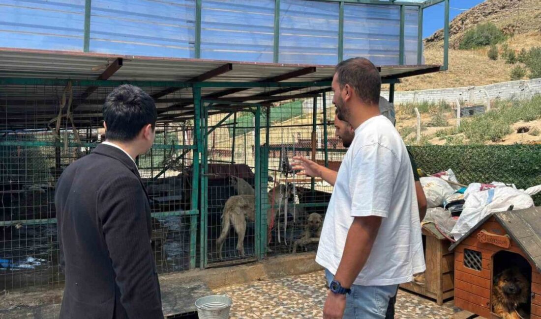 Susuz Kaymakamı Muhammed Emin Tutal, Hayvan Barınağı’nda bir takım incelemelerde
