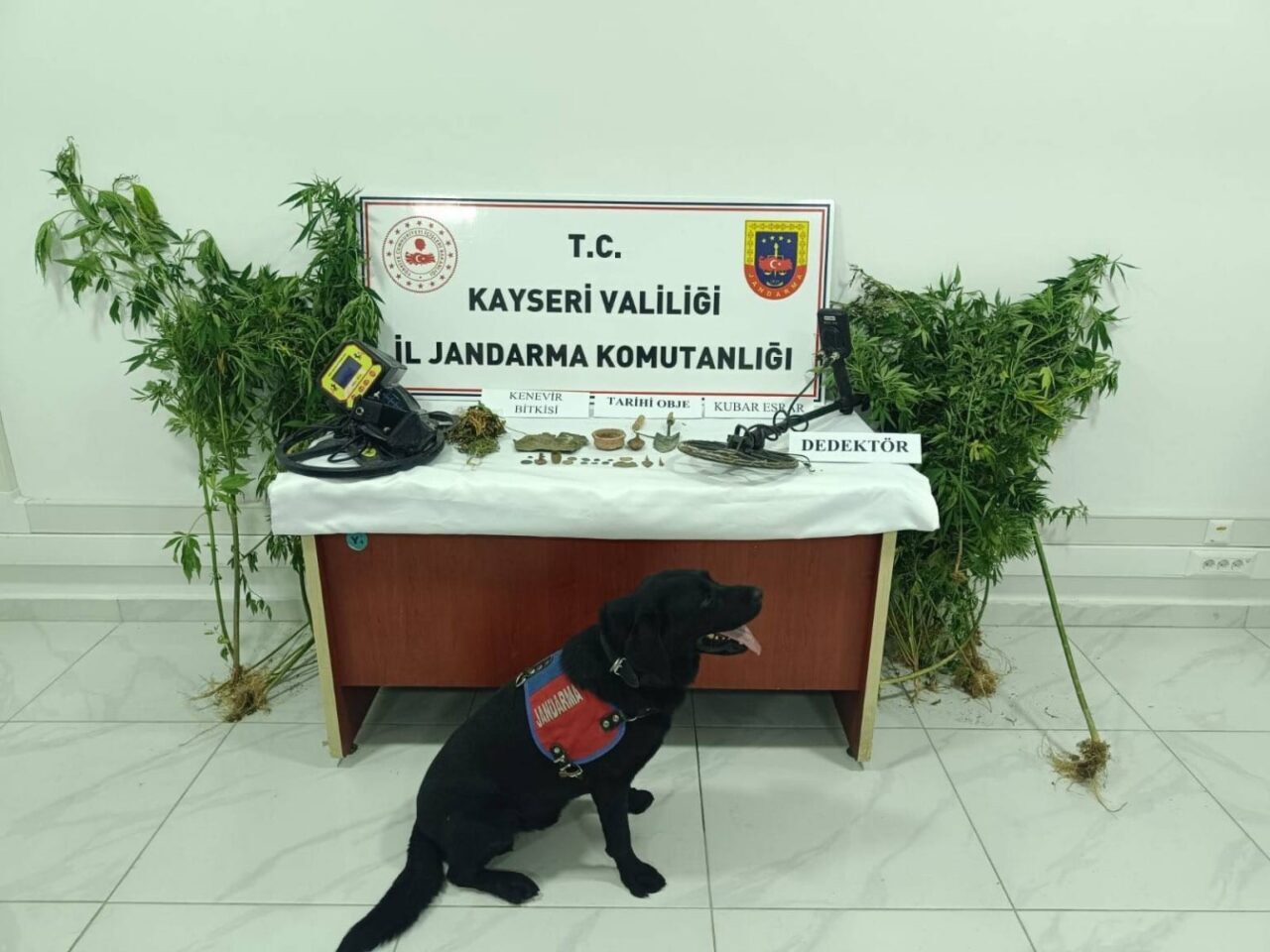 Kayseri’de jandarma ekipleri tarafından Develi ilçesinde düzenlenen uyuşturucu operasyonunda, 38