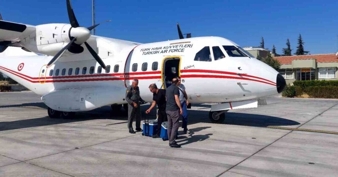 Geçirdiği trafik kazasında hayatını kaybeden AK Parti Sinop Ayancık Gençlik