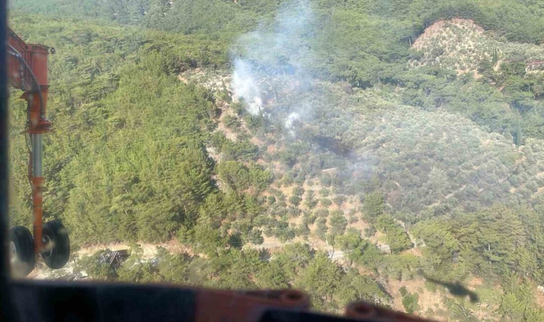 Balıkesir’in Edremit ilçesinde Kazdağları Milli Parkı’nda çıkan orman yangını, ekiplerin