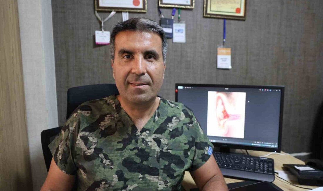 Kulak Burun ve Boğaz Uzmanı Dr. Necdet Özer, yaz aylarında