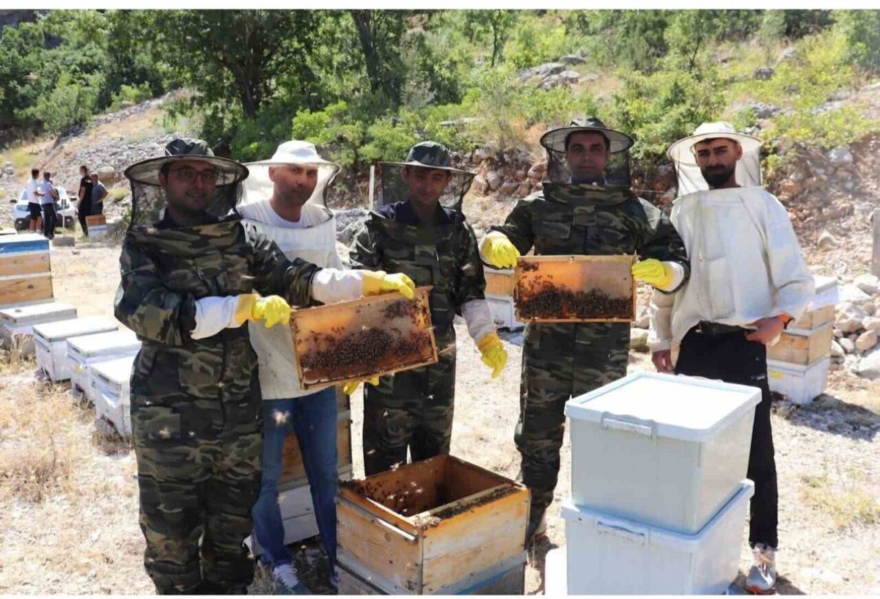 Erzincan’ın Kemah ilçesinde geniş ve zengin bitki örtüsüne sahip yaylalarda