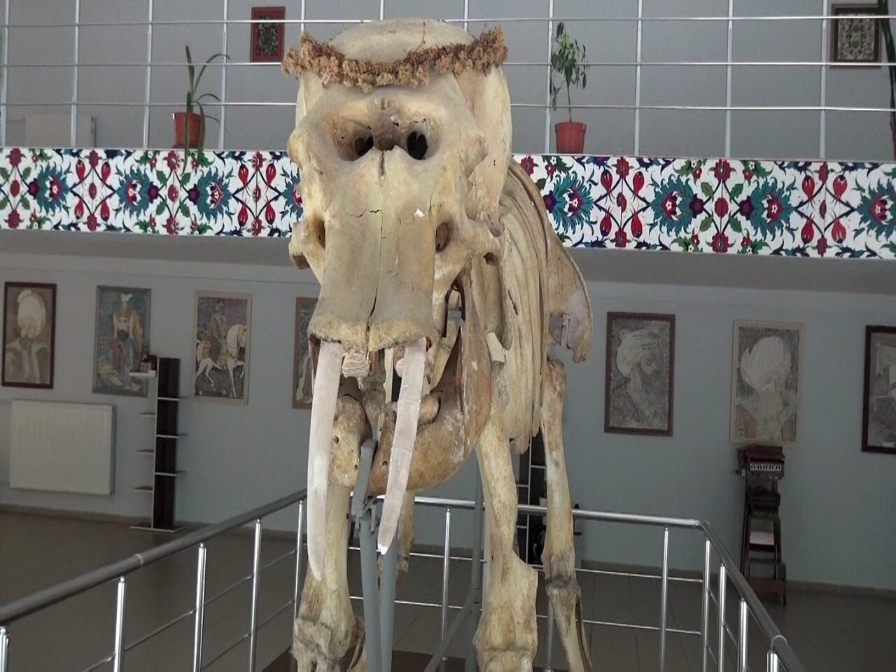 Erzincan’ın Kemaliye ilçesinde bulunan Prof. Dr. Ali Demirsoy Doğa Tarihi