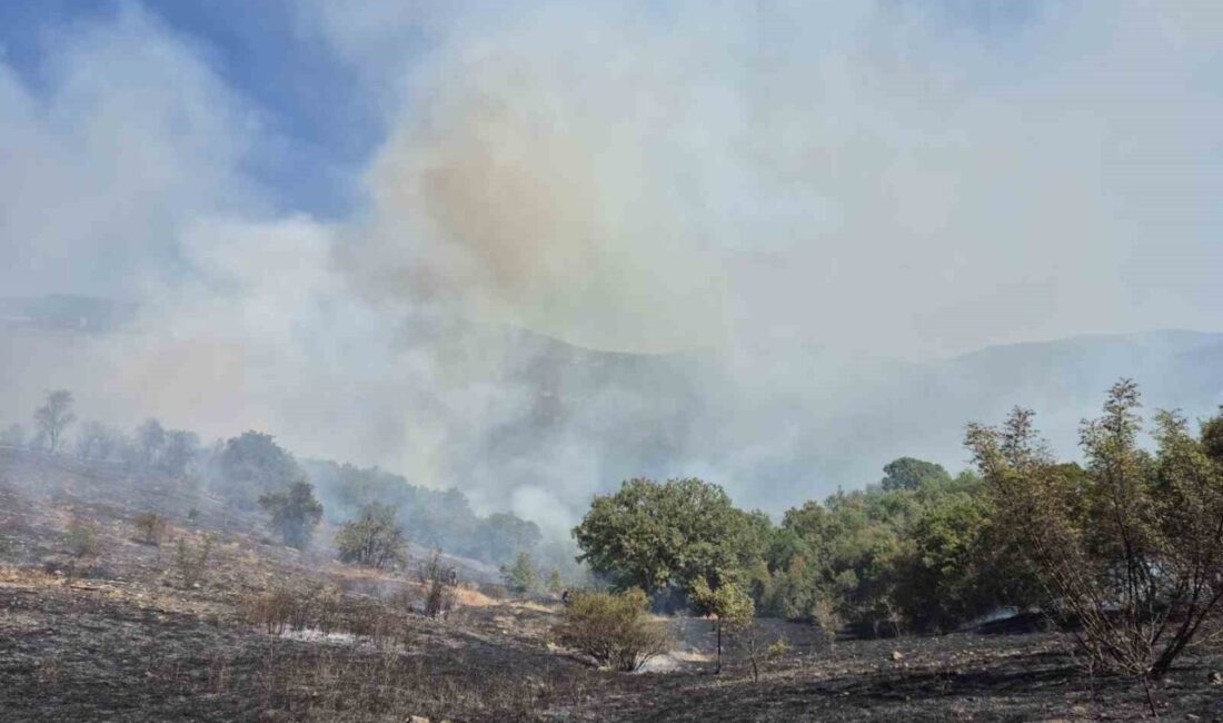 Balıkesir’in Kepsut ilçesinde tarlada başlayan yangın, ormanlık alana sirayet etti.