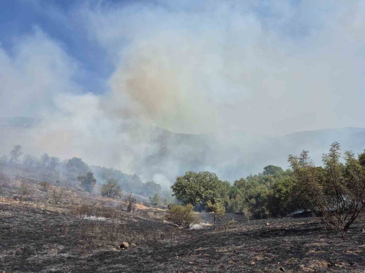 Balıkesir’in Kepsut ilçesinde tarlada başlayan yangın, ormanlık alana sirayet etti.
