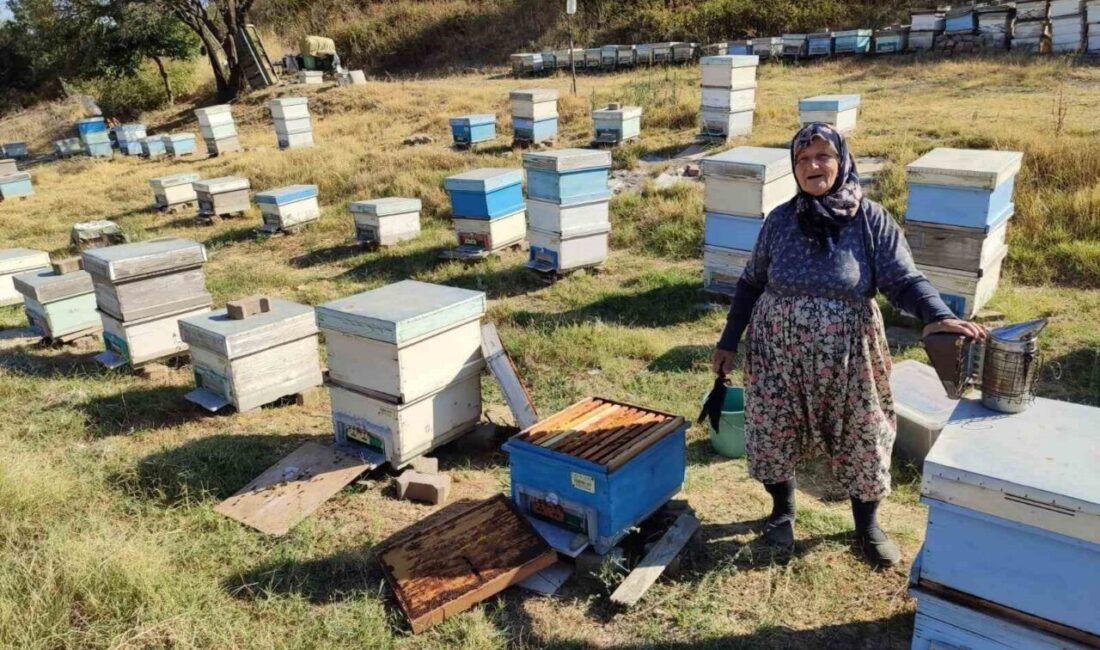 Edirne’nin Keşan ilçesinde üreticilerin arılıklarında kontroller gerçekleştiren İlçe Tarım ve