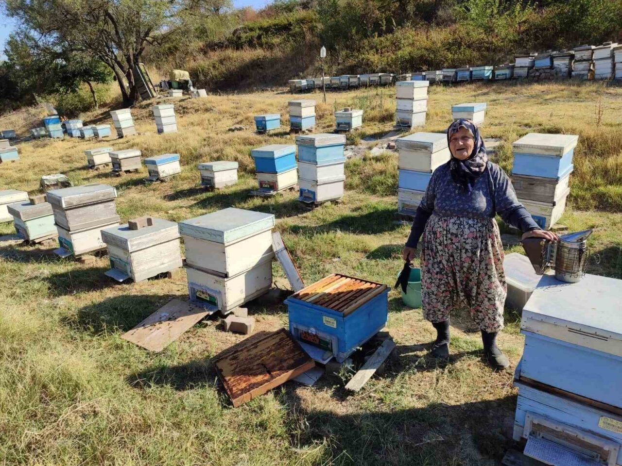 Edirne’nin Keşan ilçesinde üreticilerin arılıklarında kontroller gerçekleştiren İlçe Tarım ve