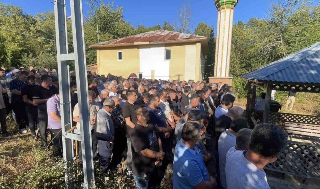 Bartın’da ormanda kestiği ağacın altında kalarak ayağı kırılan ve hastaneye